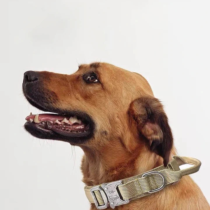Tactical Training Collar for Medium & Large Dogs