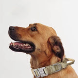 Tactical Training Collar for Medium & Large Dogs