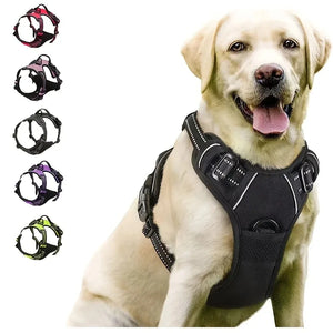 Leather Dog Collar, Harness & Leash Set – Adjustable Puppy Accessories