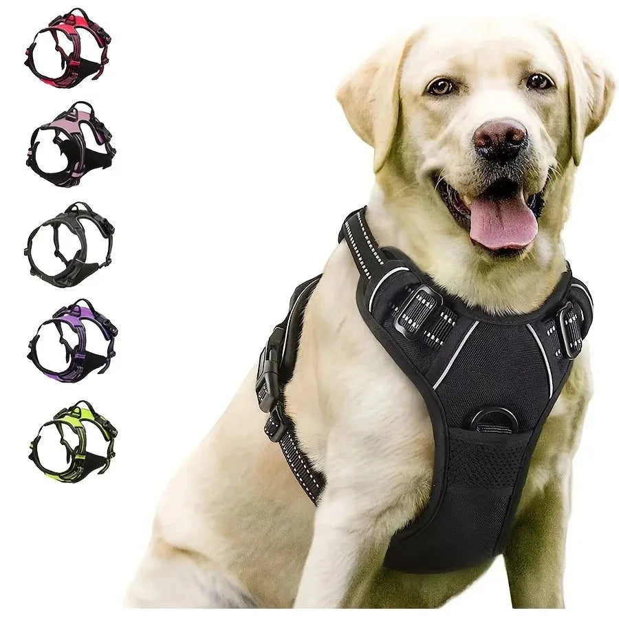 Leather Dog Collar, Harness & Leash Set – Adjustable Puppy Accessories
