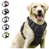 Leather Dog Collar, Harness & Leash Set – Adjustable Puppy Accessories