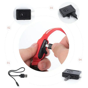 LED Glowing Dog Collar – USB Rechargeable Light Up Collar - Night Safety & Anti-Lost