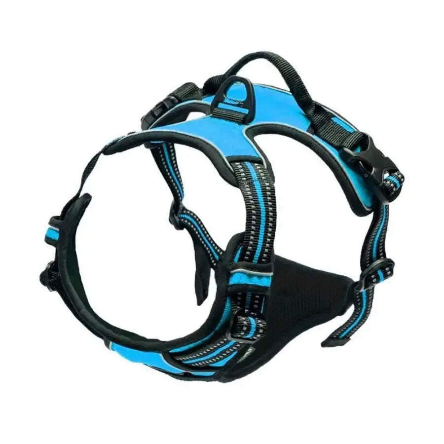 Leather Dog Collar, Harness & Leash Set – Adjustable Puppy Accessories