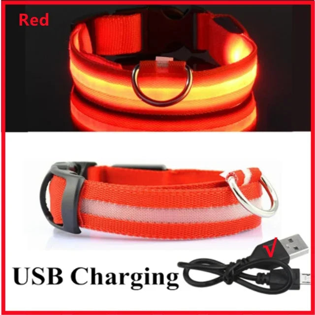 LED Glowing Dog Collar – USB Rechargeable Light Up Collar - Night Safety & Anti-Lost