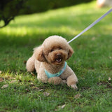 Adjustable Puppy Harness & Leash Set – Small Dogs,, French Bulldog, Chihuahua Vest