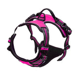 Leather Dog Collar, Harness & Leash Set – Adjustable Puppy Accessories