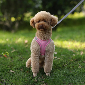 Adjustable Puppy Harness & Leash Set – Small Dogs,, French Bulldog, Chihuahua Vest
