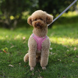 Adjustable Puppy Harness & Leash Set – Small Dogs,, French Bulldog, Chihuahua Vest