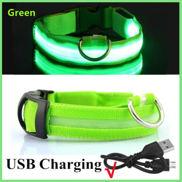LED Glowing Dog Collar – USB Rechargeable Light Up Collar - Night Safety & Anti-Lost