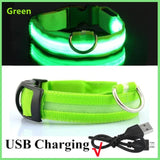 LED Glowing Dog Collar – USB Rechargeable Light Up Collar - Night Safety & Anti-Lost