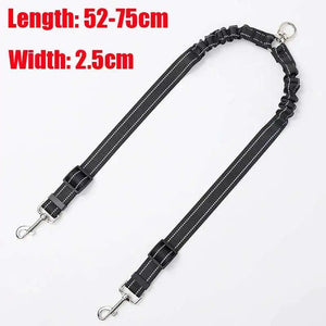 Dual Dog Leash with Tangle-Free Swivel & LED Light