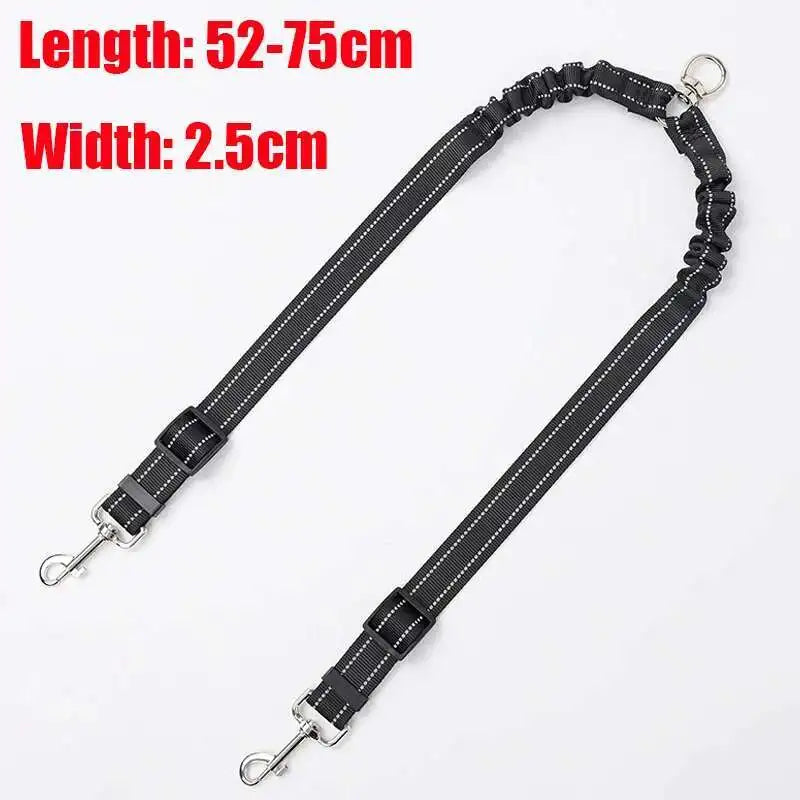 Dual Dog Leash with Tangle-Free Swivel & LED Light