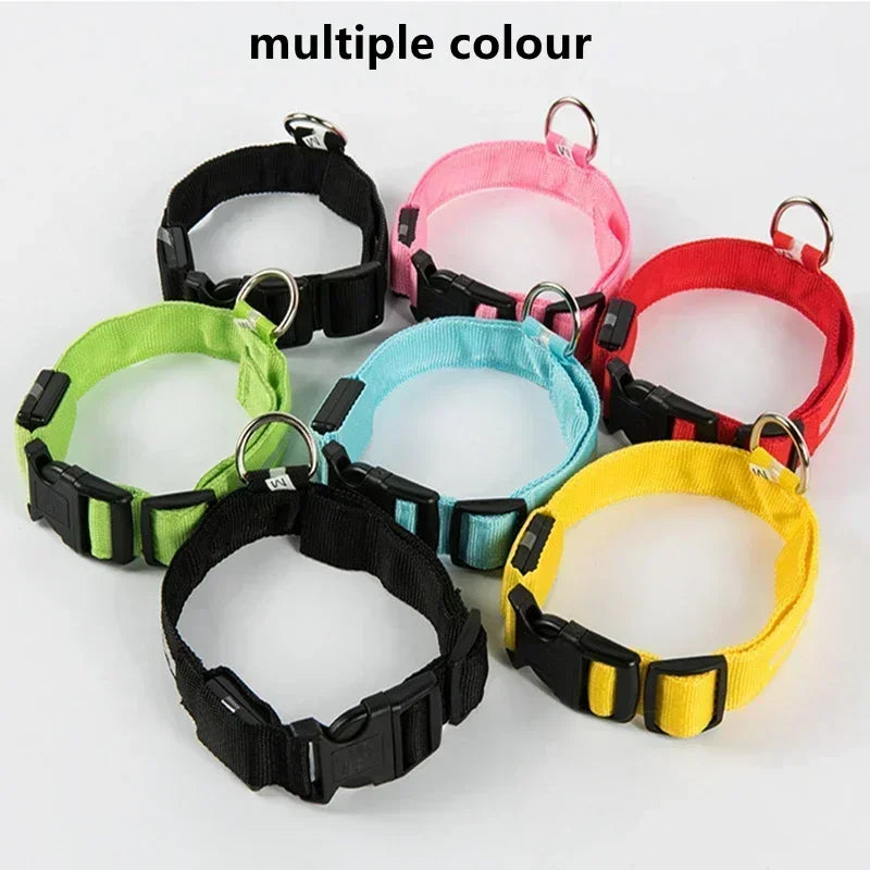 LED Glowing Dog Collar – USB Rechargeable Light Up Collar - Night Safety & Anti-Lost