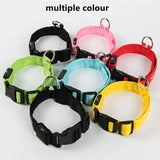 LED Glowing Dog Collar – USB Rechargeable Light Up Collar - Night Safety & Anti-Lost
