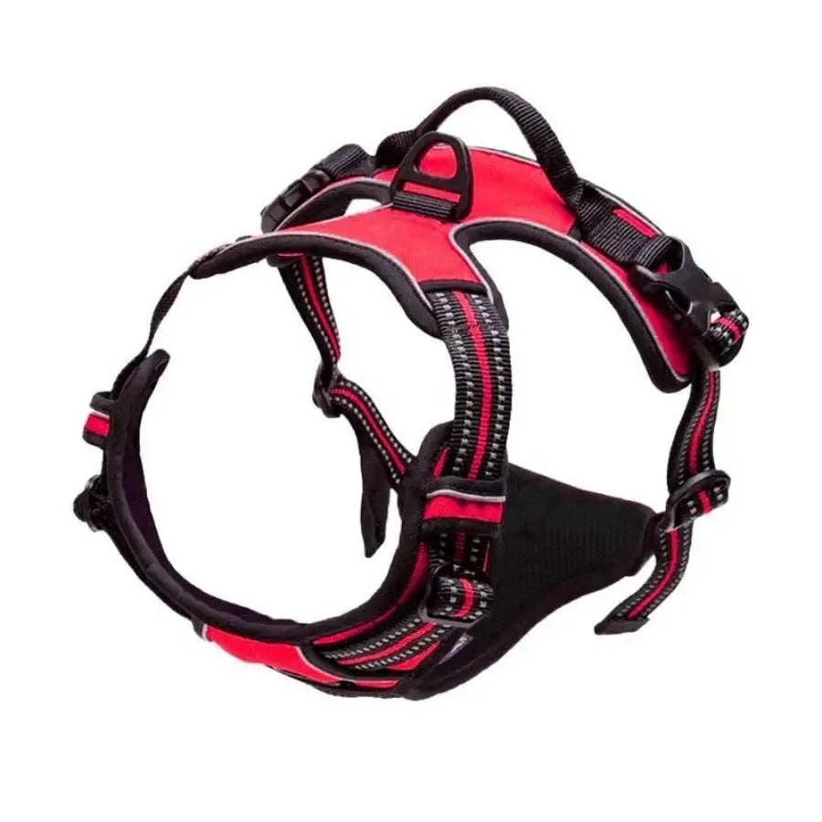 Leather Dog Collar, Harness & Leash Set – Adjustable Puppy Accessories