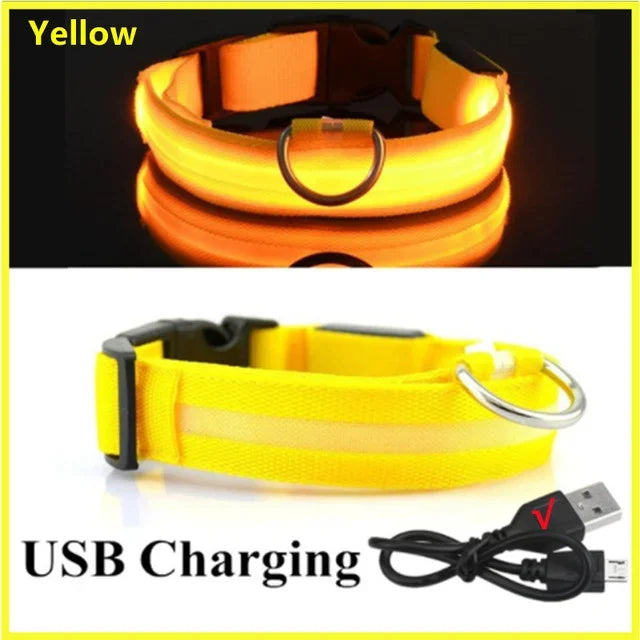 LED Glowing Dog Collar – USB Rechargeable Light Up Collar - Night Safety & Anti-Lost