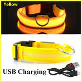 LED Glowing Dog Collar – USB Rechargeable Light Up Collar - Night Safety & Anti-Lost