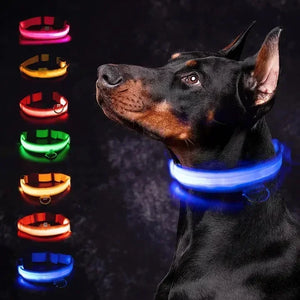 LED Glowing Dog Collar – USB Rechargeable Light Up Collar - Night Safety & Anti-Lost