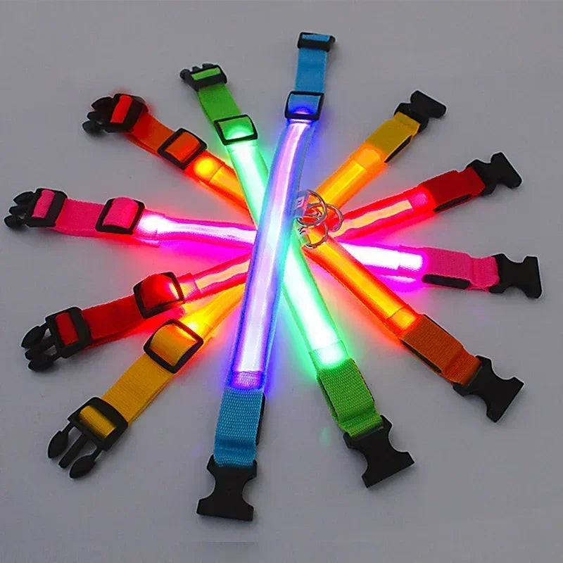 LED Glowing Dog Collar – USB Rechargeable Light Up Collar - Night Safety & Anti-Lost
