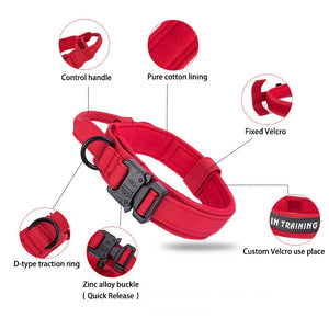 Tactical Training Collar for Medium & Large Dogs