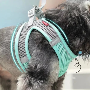 Adjustable Puppy Harness & Leash Set – Small Dogs,, French Bulldog, Chihuahua Vest