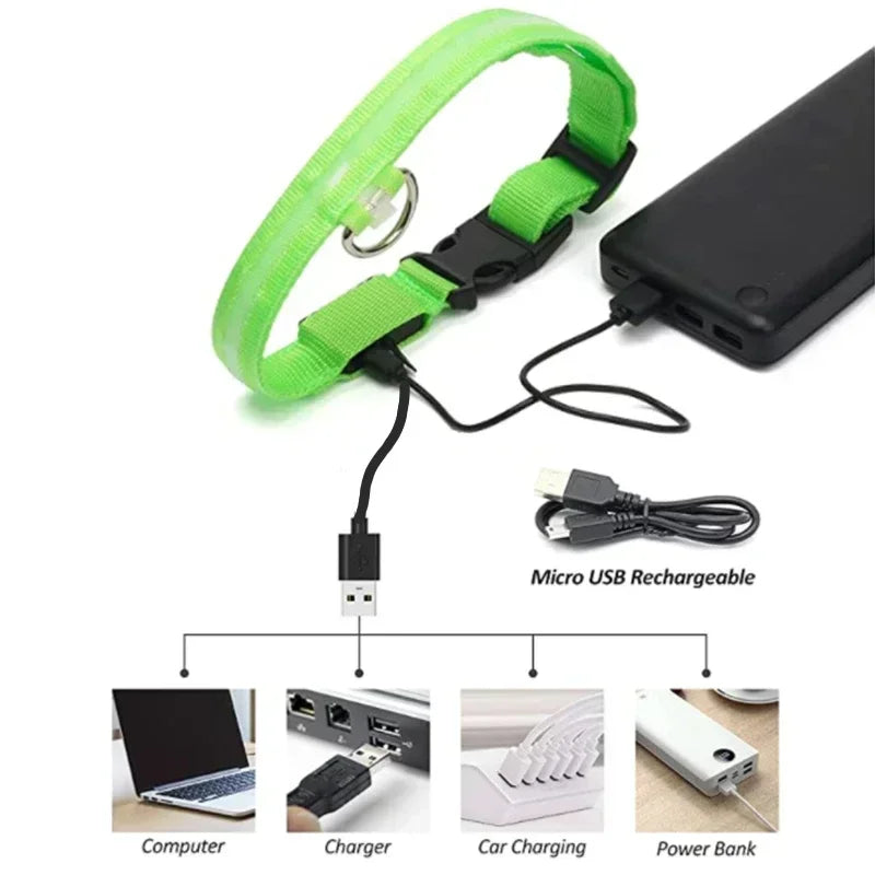 LED Glowing Dog Collar – USB Rechargeable Light Up Collar - Night Safety & Anti-Lost