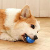 mart Interactive Dog Toy Ball – USB Rechargeable Pet Toy
