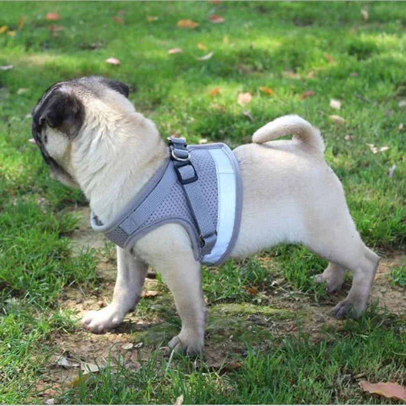 Adjustable Dog Harness with Leash – Vest Collar & Chest Strap
