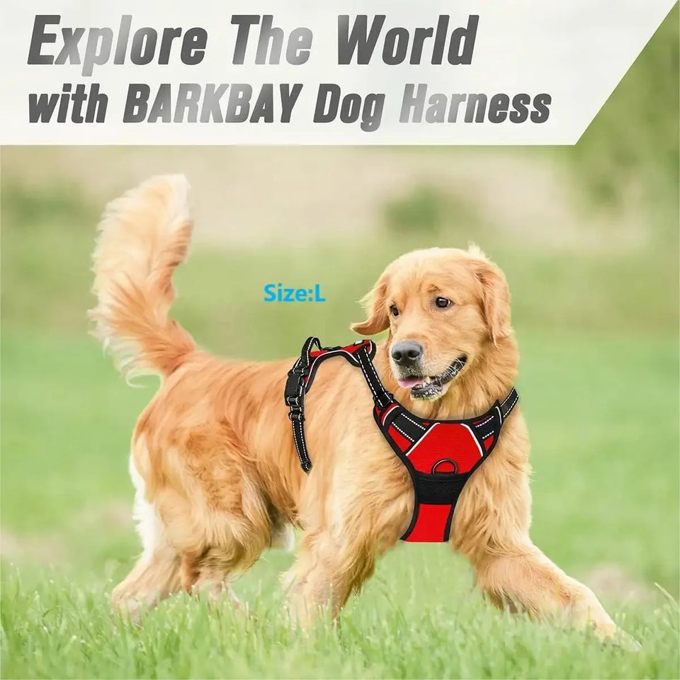 Leather Dog Collar, Harness & Leash Set – Adjustable Puppy Accessories