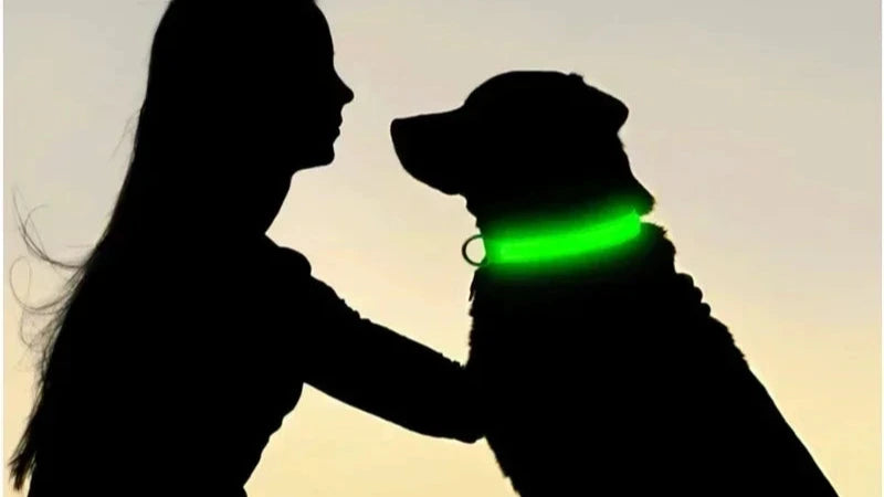 LED Glowing Dog Collar – USB Rechargeable Light Up Collar - Night Safety & Anti-Lost