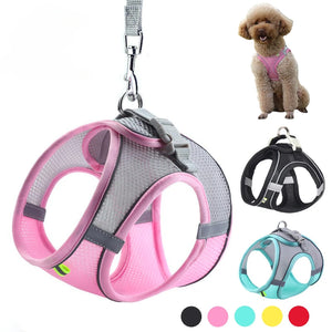 Adjustable Puppy Harness & Leash Set – Small Dogs,, French Bulldog, Chihuahua Vest