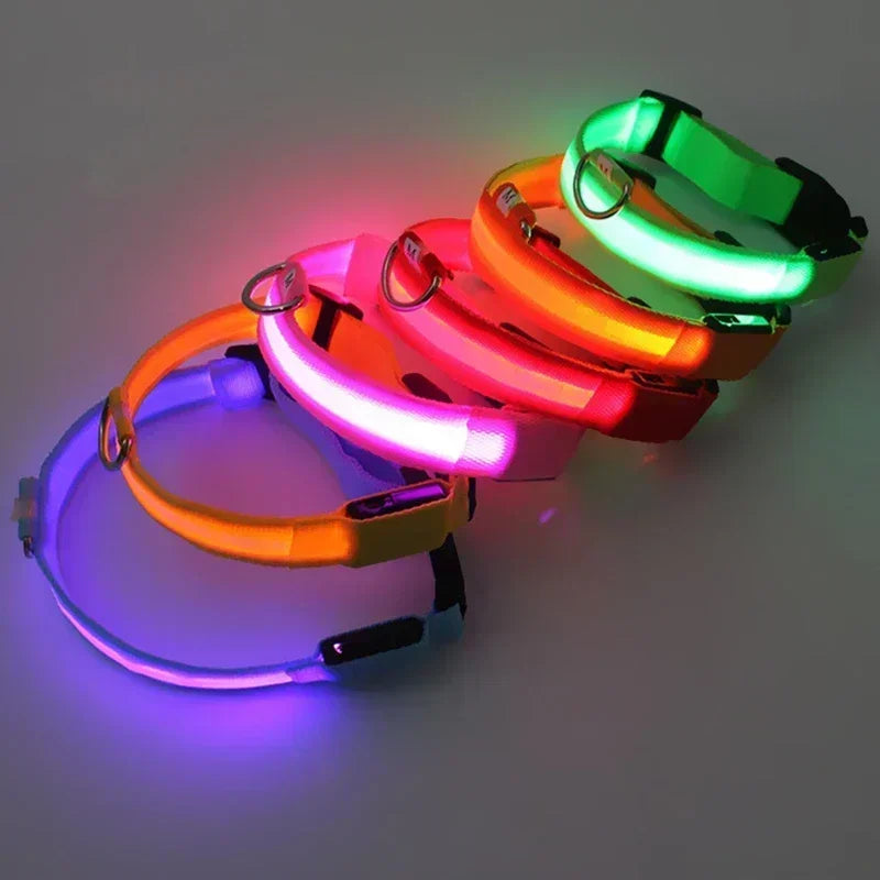 LED Glowing Dog Collar – USB Rechargeable Light Up Collar - Night Safety & Anti-Lost