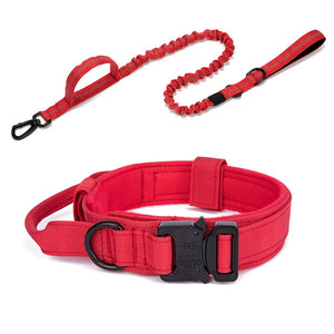 Tactical Training Collar for Medium & Large Dogs