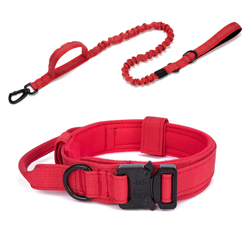 Tactical Training Collar for Medium & Large Dogs
