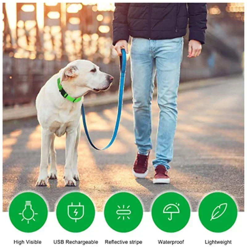 LED Glowing Dog Collar – USB Rechargeable Light Up Collar - Night Safety & Anti-Lost