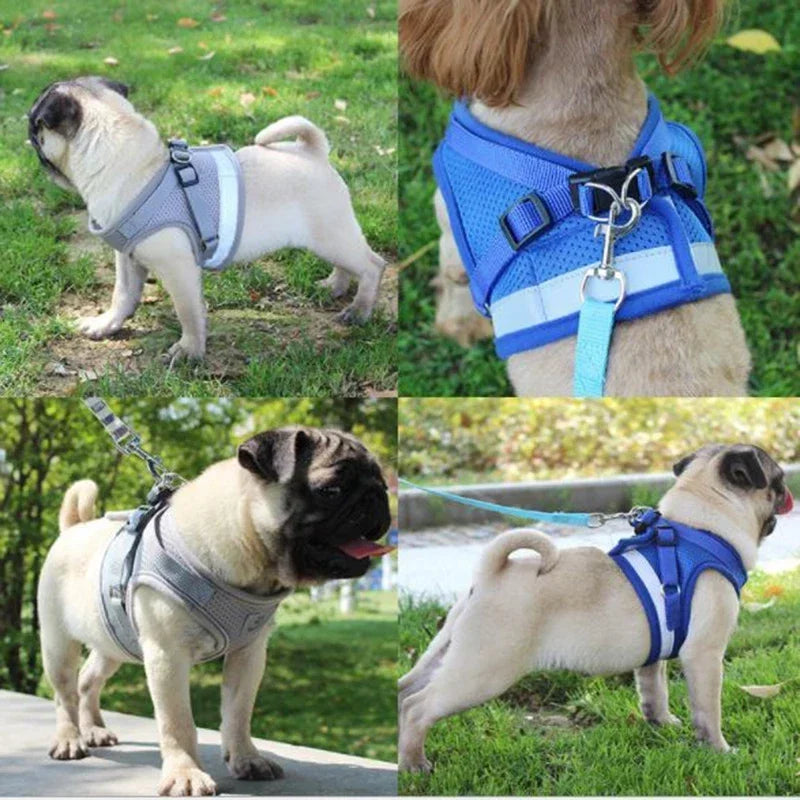 Adjustable Dog Harness with Leash – Vest Collar & Chest Strap