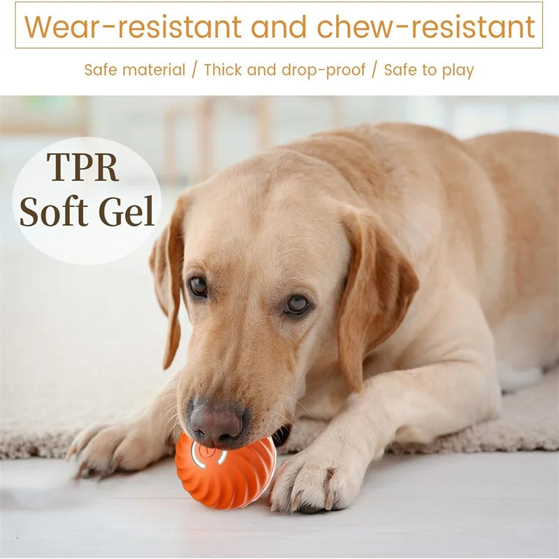 mart Interactive Dog Toy Ball – USB Rechargeable Pet Toy