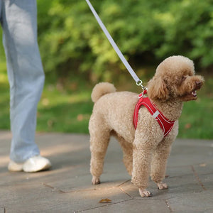 Adjustable Puppy Harness & Leash Set – Small Dogs,, French Bulldog, Chihuahua Vest