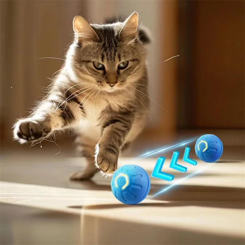 mart Interactive Dog Toy Ball – USB Rechargeable Pet Toy