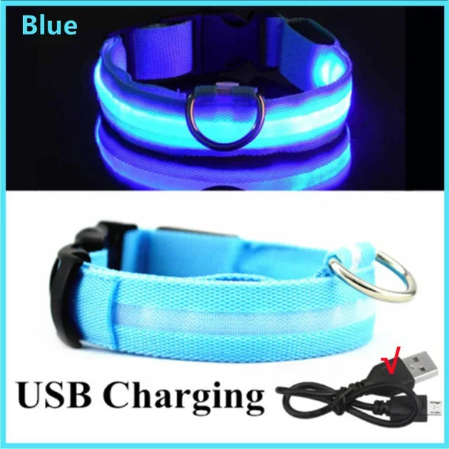 LED Glowing Dog Collar – USB Rechargeable Light Up Collar - Night Safety & Anti-Lost