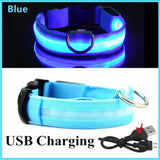LED Glowing Dog Collar – USB Rechargeable Light Up Collar - Night Safety & Anti-Lost