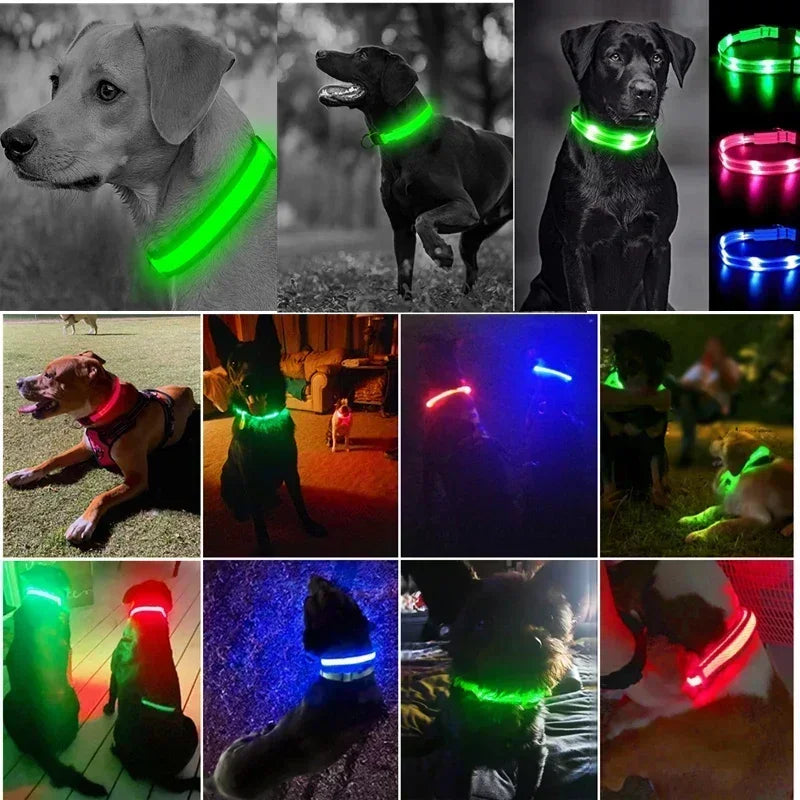 LED Glowing Dog Collar – USB Rechargeable Light Up Collar - Night Safety & Anti-Lost