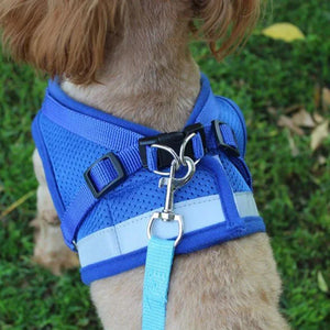 Adjustable Dog Harness with Leash – Vest Collar & Chest Strap