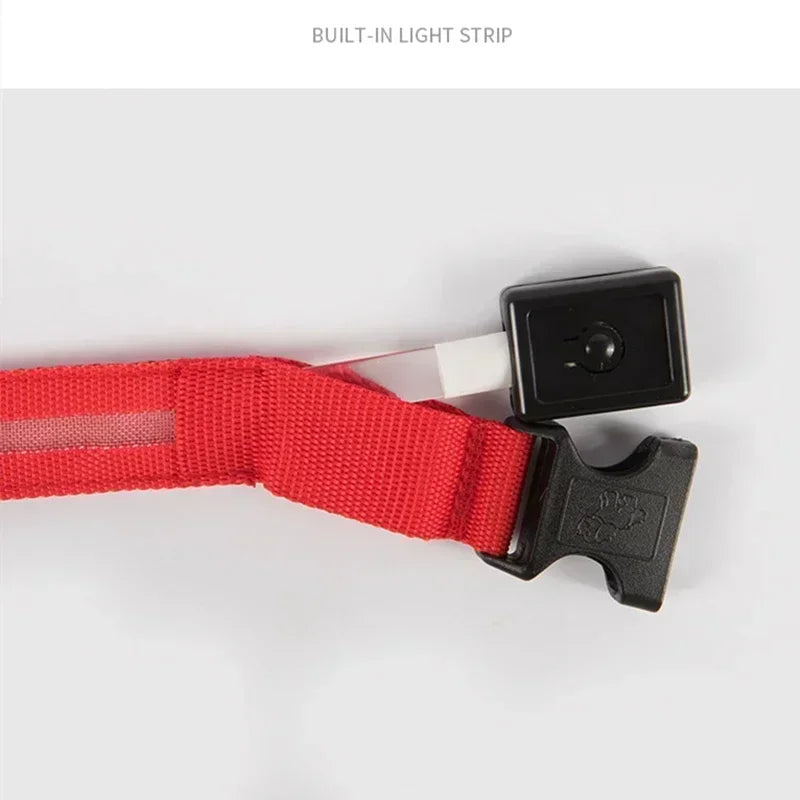LED Glowing Dog Collar – USB Rechargeable Light Up Collar - Night Safety & Anti-Lost