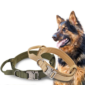 Tactical Training Collar for Medium & Large Dogs
