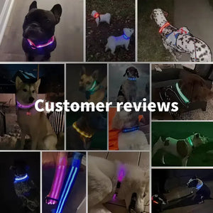 LED Glowing Dog Collar – USB Rechargeable Light Up Collar - Night Safety & Anti-Lost