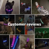 LED Glowing Dog Collar – USB Rechargeable Light Up Collar - Night Safety & Anti-Lost