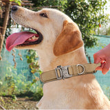 Tactical Training Collar for Medium & Large Dogs