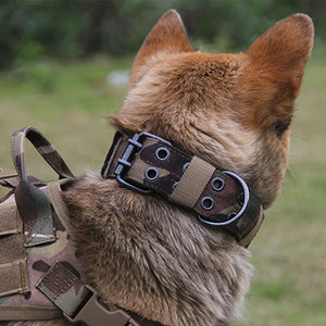 Adjustable Tactical Dog Collar – Reflective Nylon, Heavy Duty Training Collar