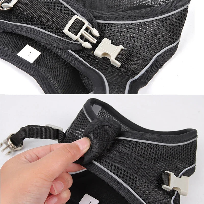 Adjustable Puppy Harness & Leash Set – Small Dogs,, French Bulldog, Chihuahua Vest